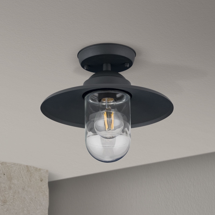Buiten opbouwlamp EDWARD 1xE27/60W/230V IP44 antraciet