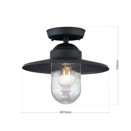 Plafonnier extérieur EDWARD 1xE27/60W/230V IP44 noir