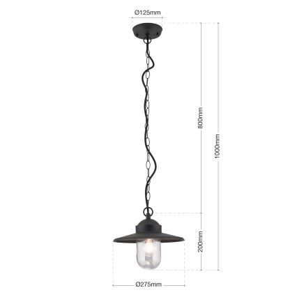 Hanglamp voor buiten EDWARD 1xE27/60W/230V IP44 zwart