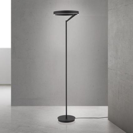 Dimbare LED-staande lamp KOLK LED/40W/230V 2700/4000K zwart