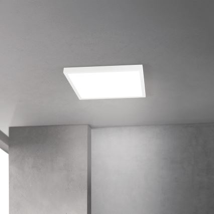 LED-dimbare plafondlamp DISC LED/30W/230V 2700/3000/4000K 39x39 cm wit