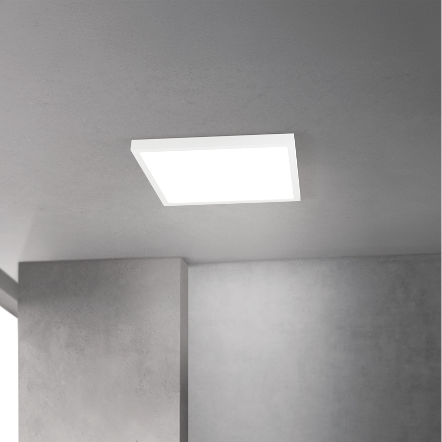 LED-dimbare plafondlamp DISC LED/30W/230V 2700/3000/4000K 39x39 cm wit