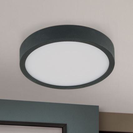 LED Plafondlamp BULLY LED/12W/230V diameter 14 cm zwart