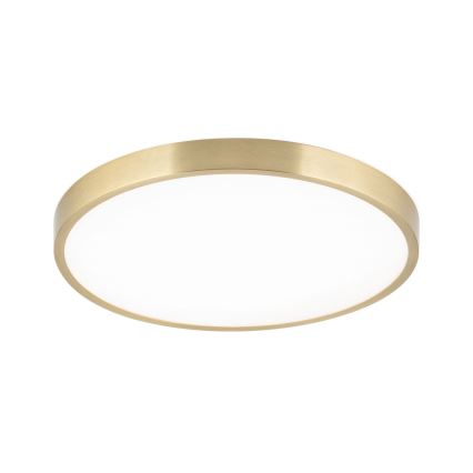 LED Plafondlamp BULLY LED/28W/230V diameter 28 cm goud
