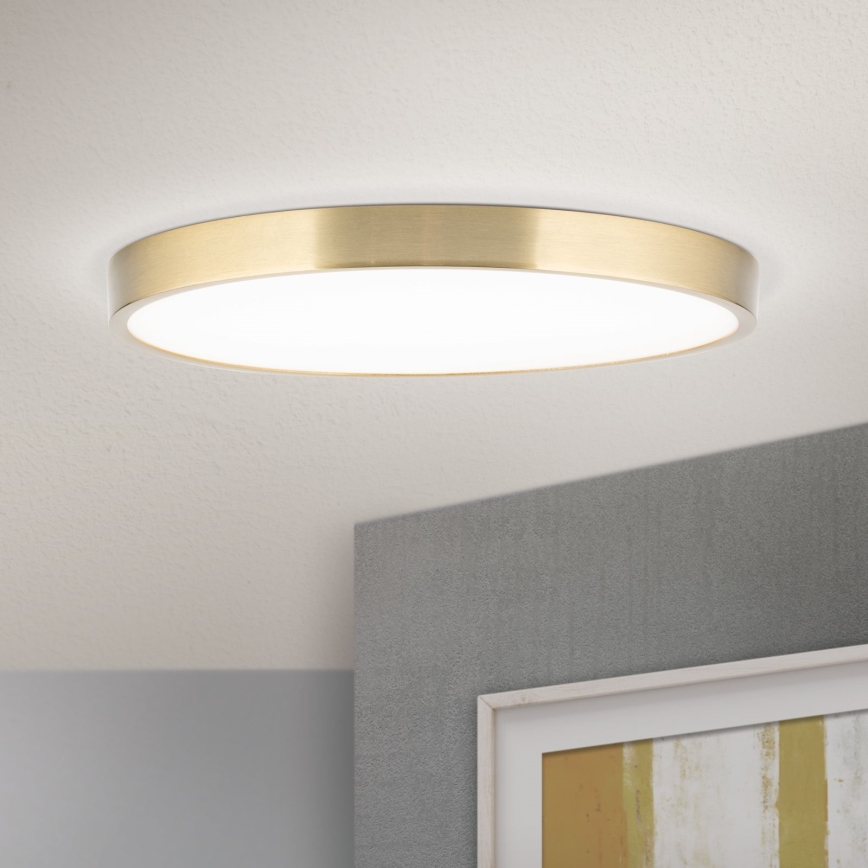 LED Plafondlamp BULLY LED/28W/230V diameter 28 cm goud