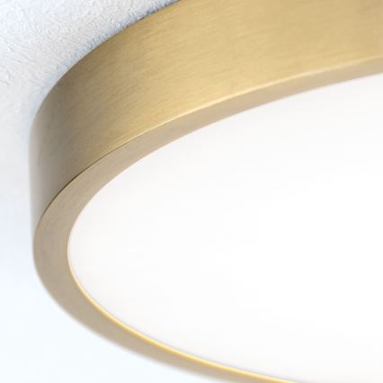LED Plafondlamp BULLY LED/28W/230V diameter 28 cm goud