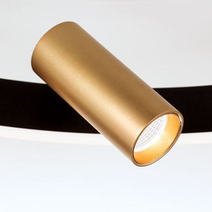 Dimbare LED Plafondlamp BERLIN LED/50W/230V zwart/goud