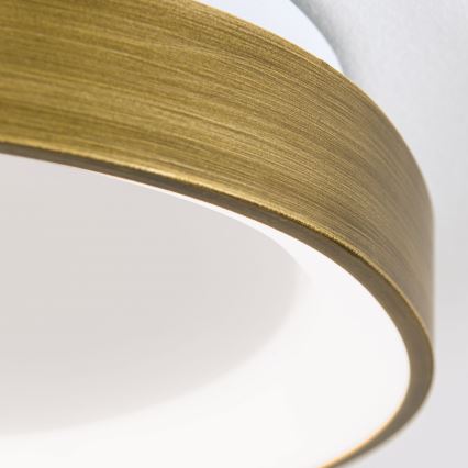 Plafonnier CHARLIE LED/35W/230V d. 45 cm doré