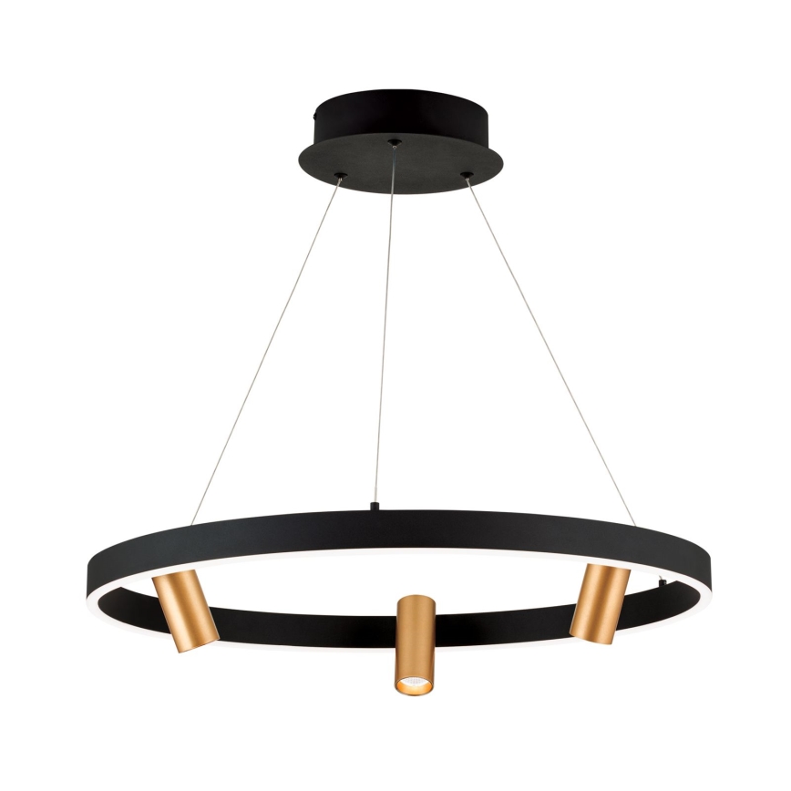 Dimbare LED hanglamp aan een koord BERLIN LED/50W/230V zwart/goud