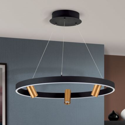 Dimbare LED hanglamp aan een koord BERLIN LED/50W/230V zwart/goud