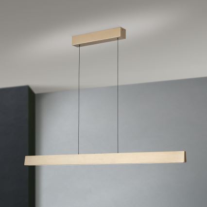 Dimbare LED hanglamp aan een koord TARA LED/44W/230V 2700/3800/4500/5700K goud
