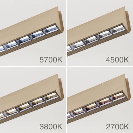 Dimbare LED hanglamp aan een koord TARA LED/44W/230V 2700/3800/4500/5700K goud