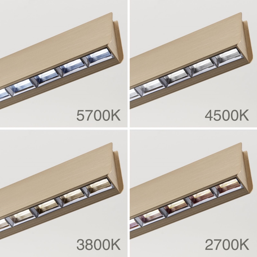 Dimbare LED hanglamp aan een koord TARA LED/44W/230V 2700/3800/4500/5700K goud