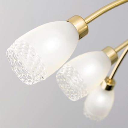 Goudkleurige kroonluchter aan stang CARLA 8xG9/28W/230V