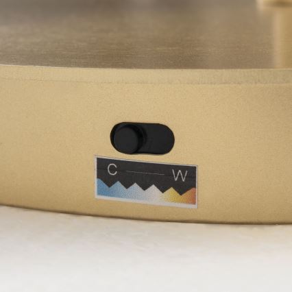 Lampadaire LED dimmable KOLK LED/40W/230V 2700/4000K doré