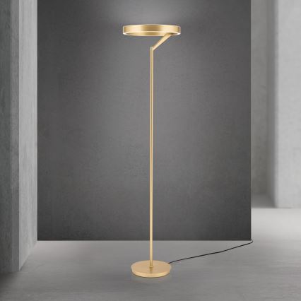 Dimbare LED-vloerlamp KOLK LED/40W/230V 2700/4000K goudkleurig