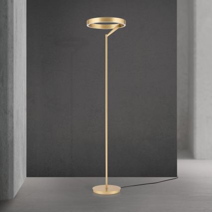 Dimbare LED-vloerlamp KOLK LED/40W/230V 2700/4000K goudkleurig