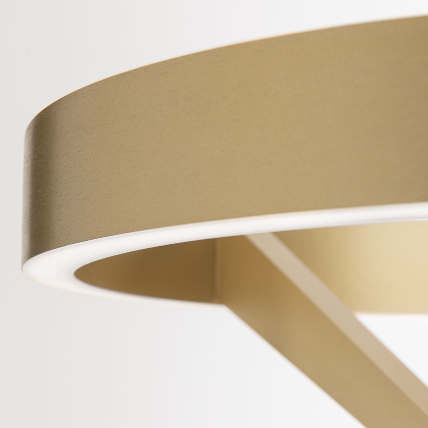 Dimbare LED-vloerlamp KOLK LED/40W/230V 2700/4000K goudkleurig