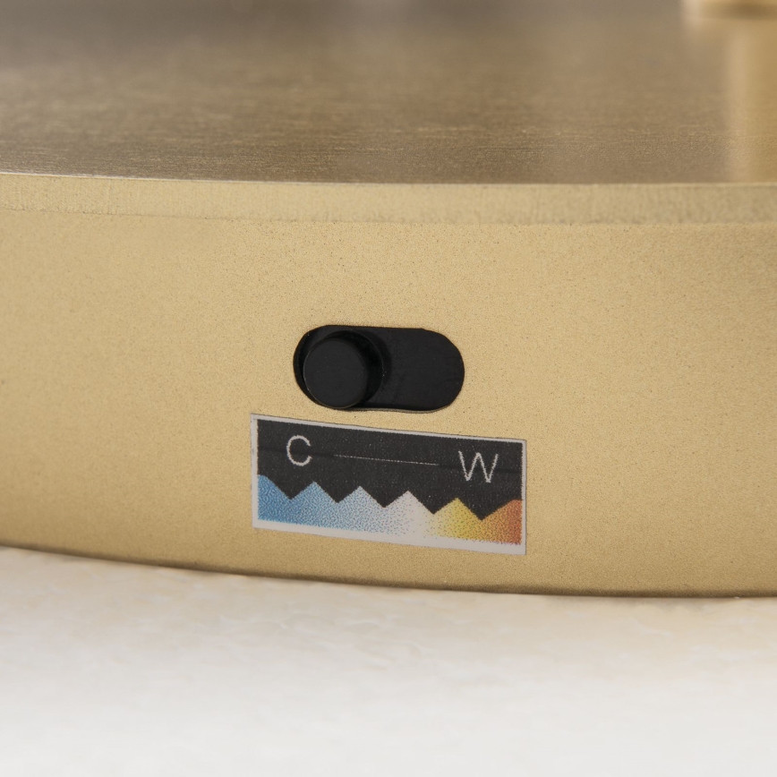 Dimbare LED-vloerlamp KOLK LED/40W/230V 2700/4000K goudkleurig