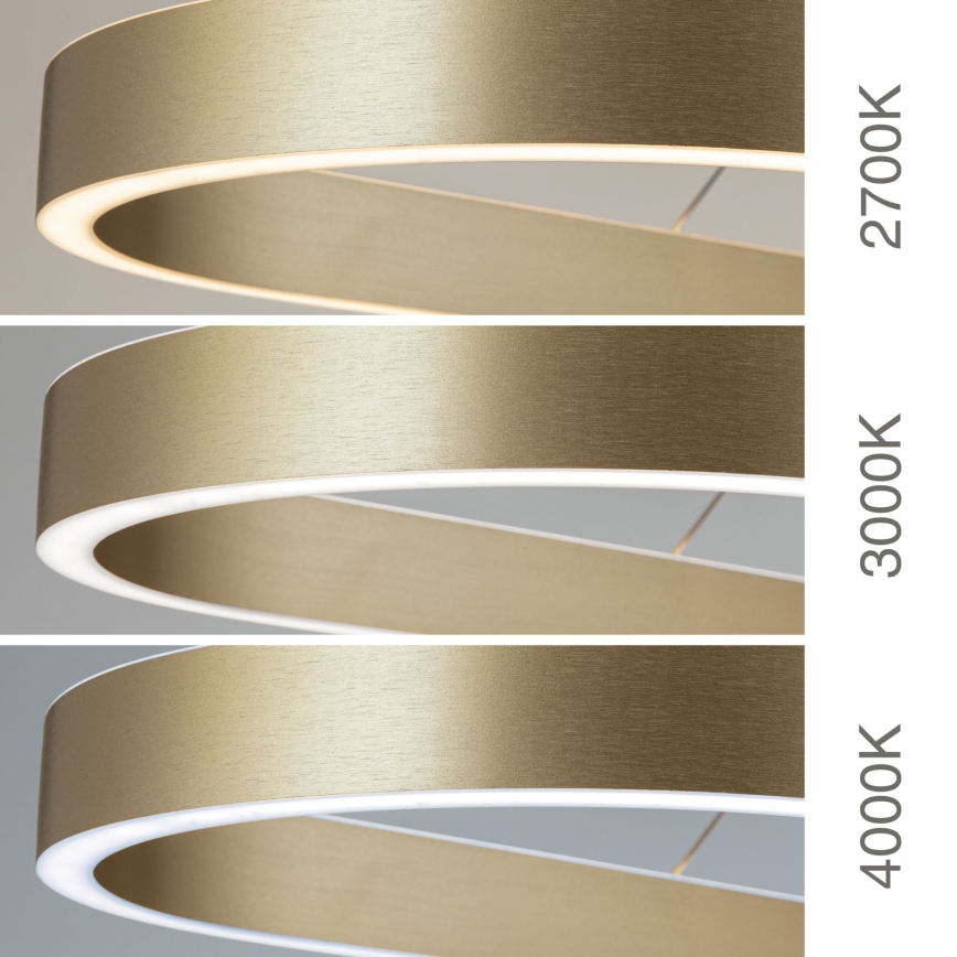 LED-kroonluchter aan kabel CARRARA LED/80W/230V 2700/3000/4000K goud