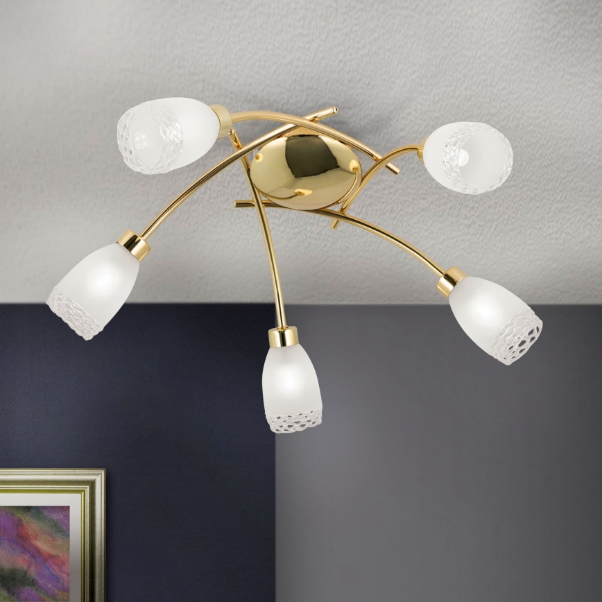 Opbouwkroonluchter CARLA 5xG9/28W/230V goudkleurig