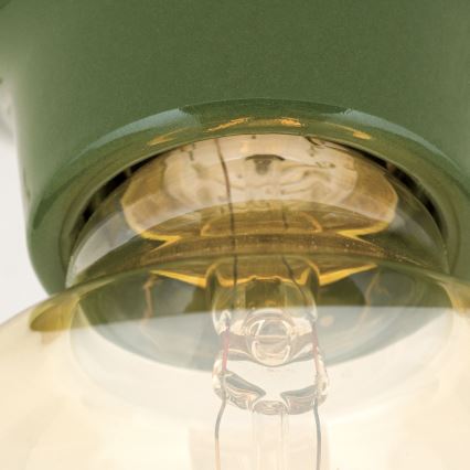 Plafondlamp FROST 1xE27/60W/230V groen