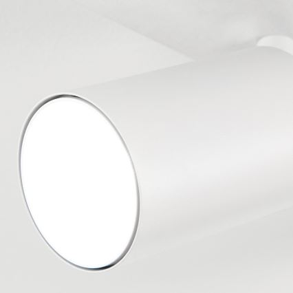 Opbouwspot SEAN 5xGU10/13W/230V wit