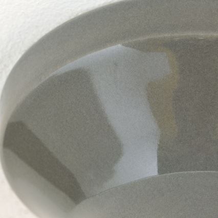 Plafonnier FROST 1xE27/60W/230V gris