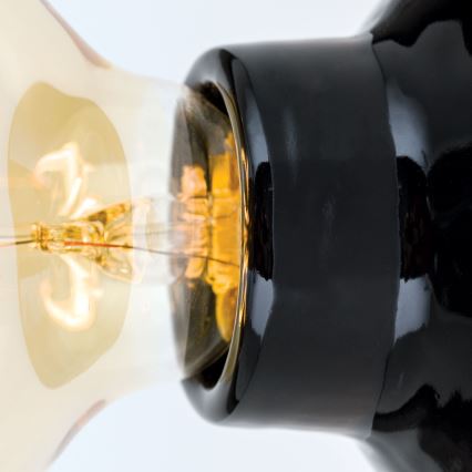 Plafonnier FROST 1xE27/60W/230V noir