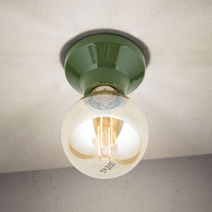 Plafonnier FROST 1xE27/60W/230V vert