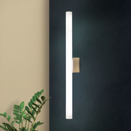 Applique murale LED VISAGIST 1xS14d/8W/230V laiton