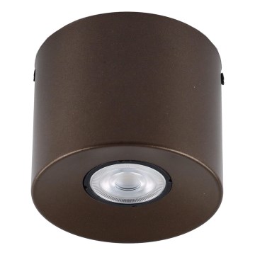 ORION spot 1xGU10/10W/230V 9 cm bruin