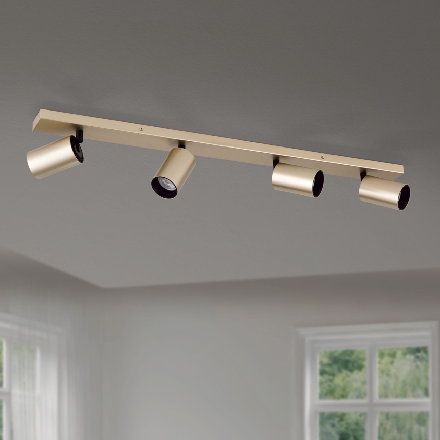 Spot orientable SEAN 4xGU10/13W/230V doré