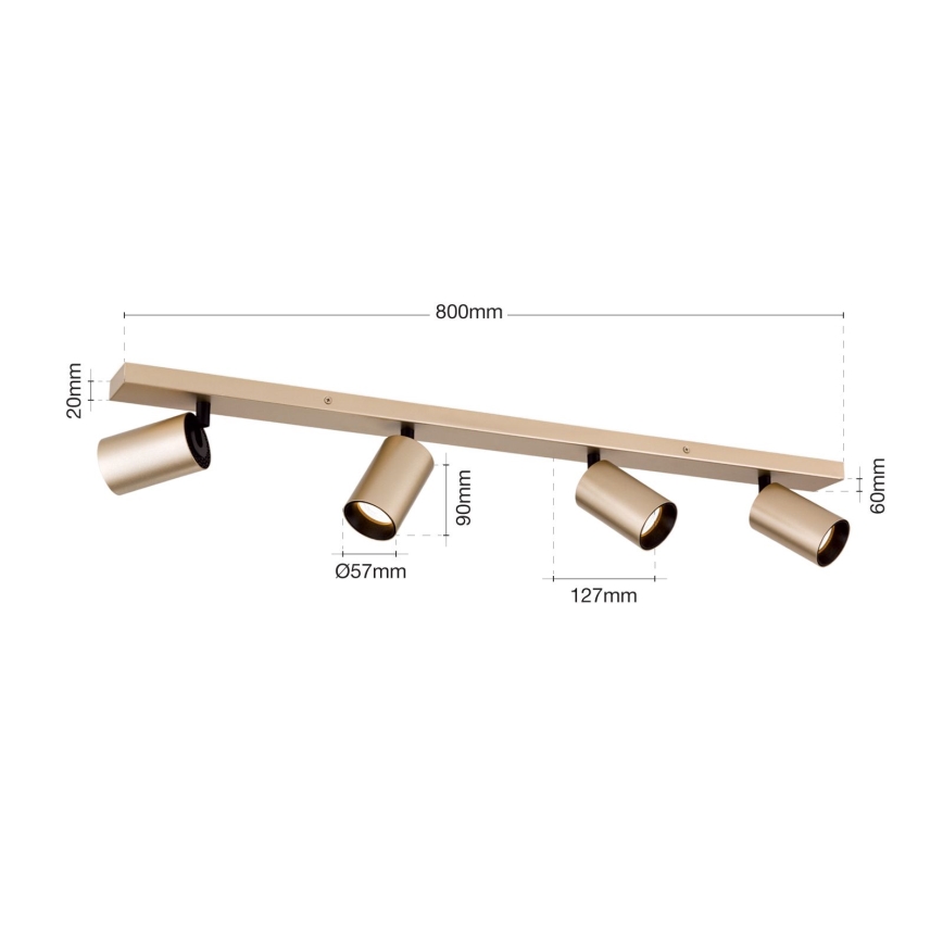Spot orientable SEAN 4xGU10/13W/230V doré