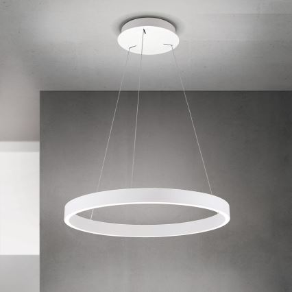 Suspension LED dimmable sur câble KOLK LED/60W/230V 2700/3000/4000K Ø 60 cm blanche