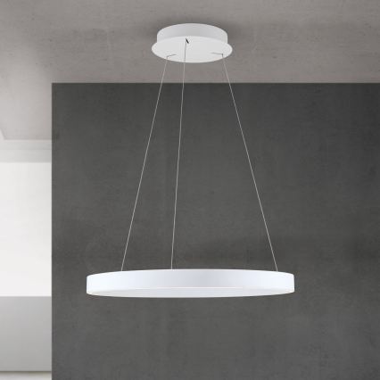 Suspension LED dimmable sur câble KOLK LED/60W/230V 2700/3000/4000K Ø 60 cm blanche