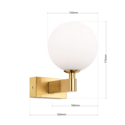 Applique murale salle de bain MARA 1xG9/20W/230V IP44 doré
