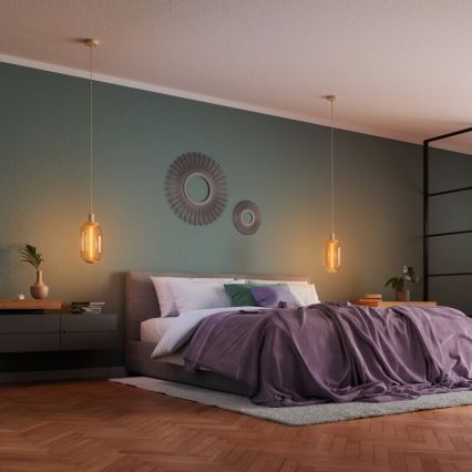 Osram - Câble d'alimentation PENDULUM NEEDLE 1xE27/15W/230V