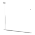 Osram - Dimbare LED-hanglamp aan kabel OFFICE LINE LED/40W/230V 4000K 120 cm wit