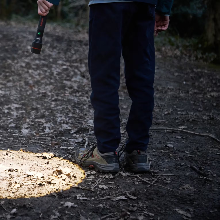 Osram - Lampe torche LED rechargeable à intensité variable LEDINSPECT PRO TORCH 1200 LED/13W/3,6V 4000 mAh IP44