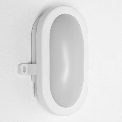 Osram - LED buitenwandlamp BULKHEAD LED/6W/230V IP54 wit