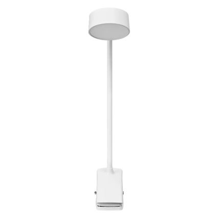 Osram - Dimbare LED-tafellamp met klem OFFICE LINE LED/4,8W/230V 3000/4000/6500K wit
