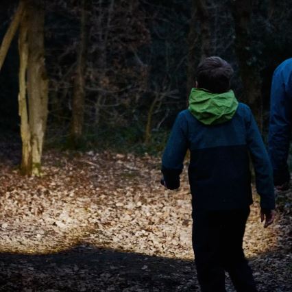 Osram - Dimbare LED-zaklamp LEDINSPECT TORCH 450 ESSENTIAL LED/6W/3xAAA IP44