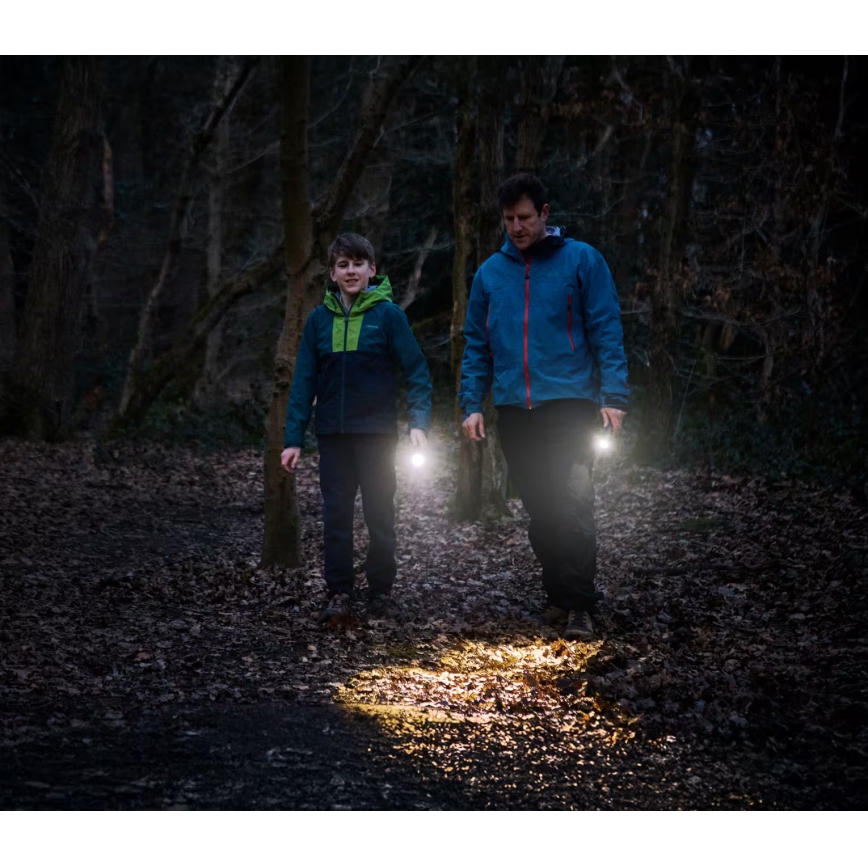 Osram - Lampe torche LED dimmable LEDINSPECT TORCH 350 ESSENTIAL LED/4W/2xAAA IP44