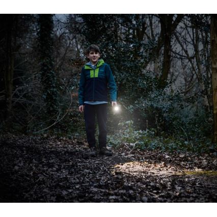 Osram - Lampe torche LED dimmable LEDINSPECT TORCH 350 ESSENTIAL LED/4W/2xAAA IP44