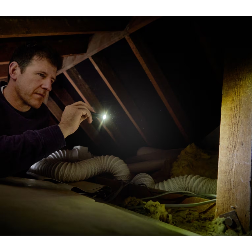 Osram - Torche LED dimmable LEDINSPECT TORCH 250 ESSENTIAL LED/2W/2xAAA IP44