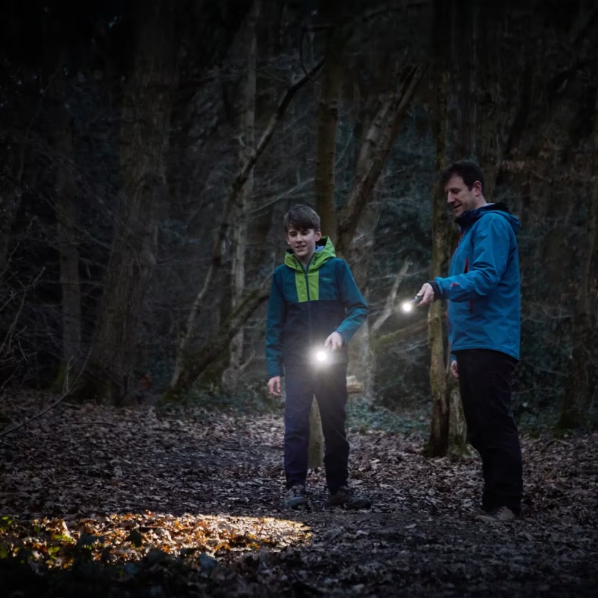 Osram - Lampe de poche LED à intensité variable LEDINSPECT TORCH 450 ESSENTIAL LED/6W/3xAAA IP44