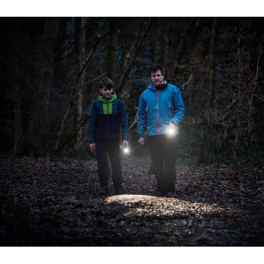 Osram - Lampe de poche LED à intensité variable LEDINSPECT TORCH 450 ESSENTIAL LED/6W/3xAAA IP44