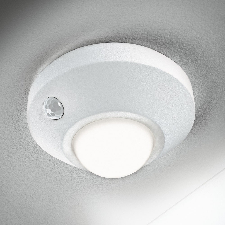 Osram - LED oriëntatielamp met sensor NIGHTLUX LED/2W/3xAA wit