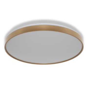 Osram - Plafonnier LED CEILING LUXO, 60 W / 230 V, Ø 56 cm, doré